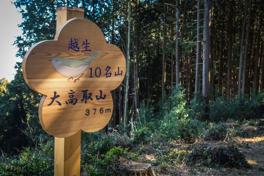 越生の梅林と大高取山トレランの写真9