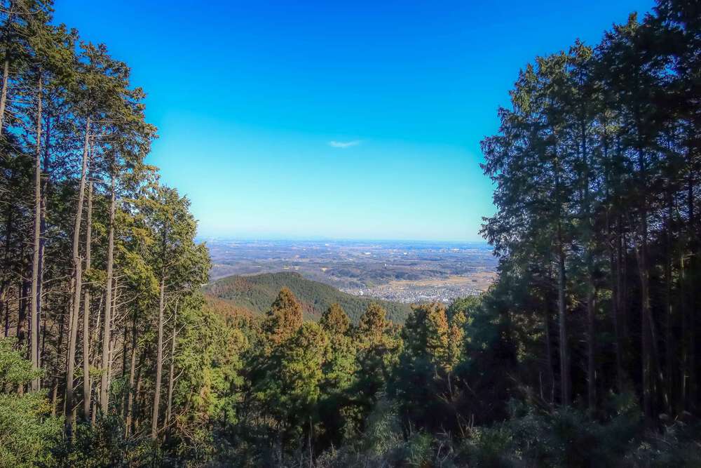 越生の梅林と大高取山トレランの写真10