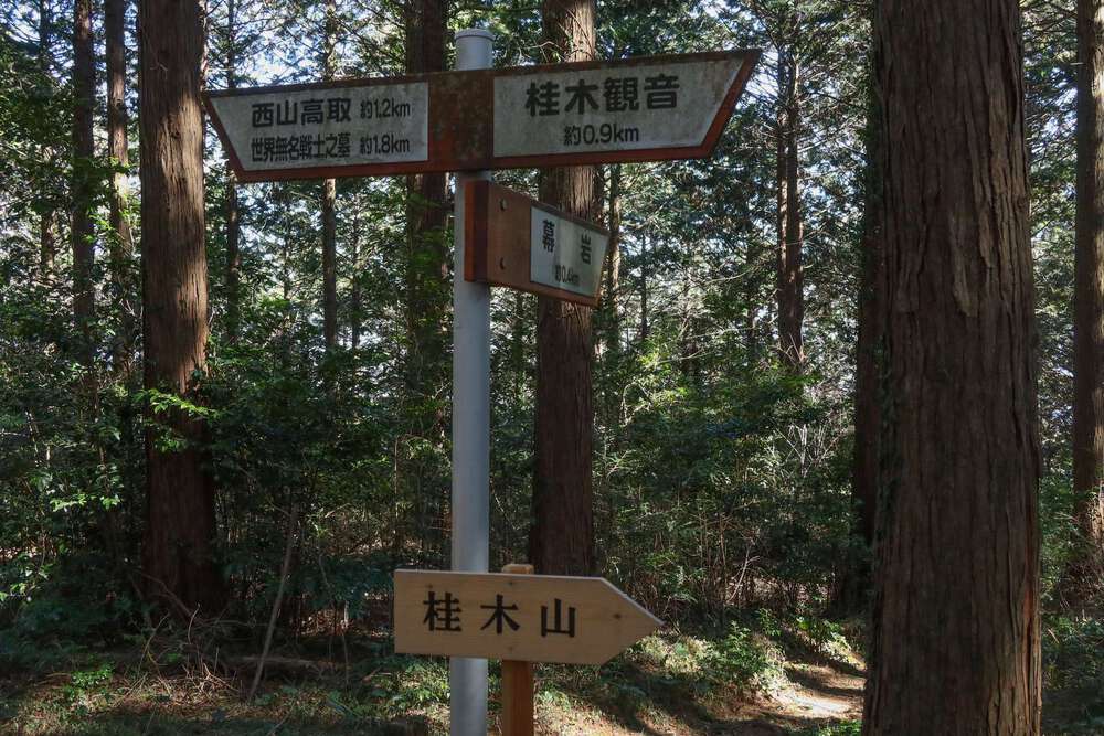 越生の梅林と大高取山トレランの写真11