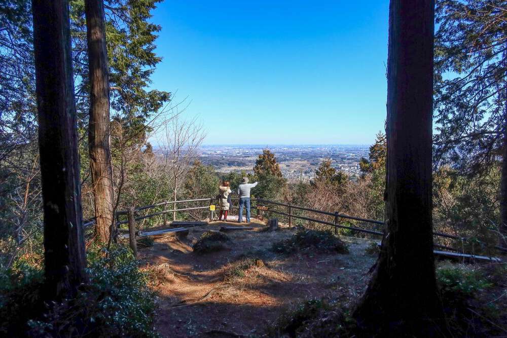越生の梅林と大高取山トレランの写真12