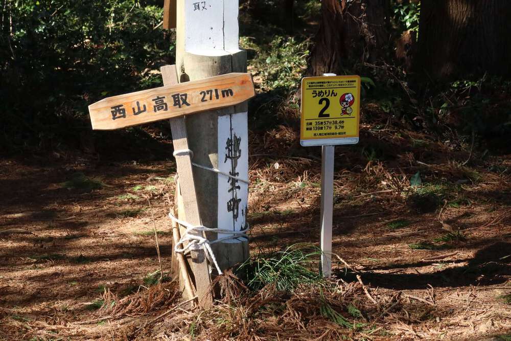 越生の梅林と大高取山トレランの写真14