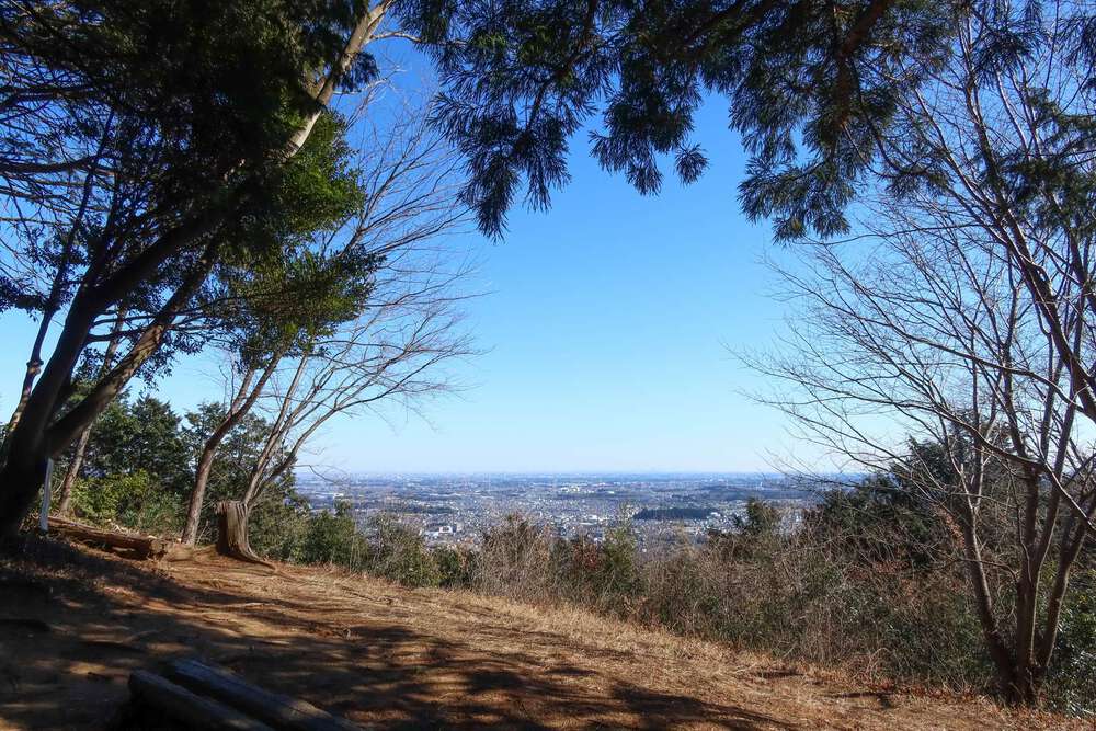 越生の梅林と大高取山トレランの写真15
