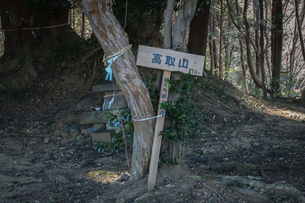 越生の梅林と大高取山トレランの写真16