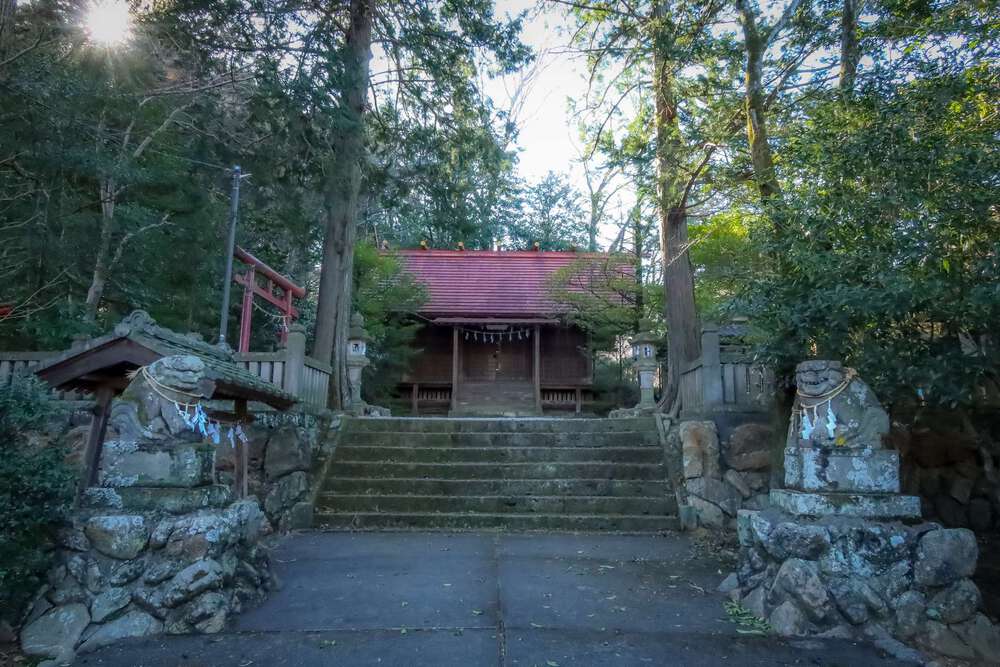 越生の梅林と大高取山トレランの写真17