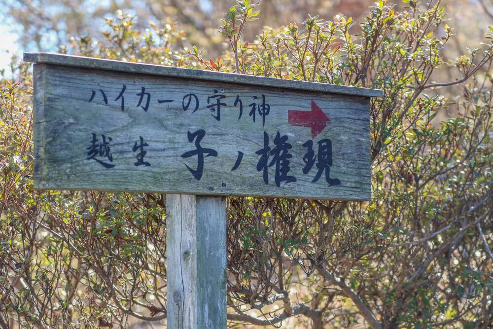 越生の梅林と大高取山トレランの写真18