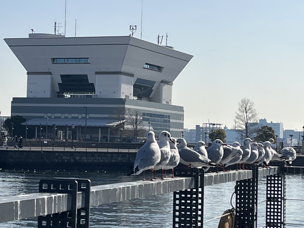 銭湯で整う2023〜石川町駅／小山湯〜の写真4