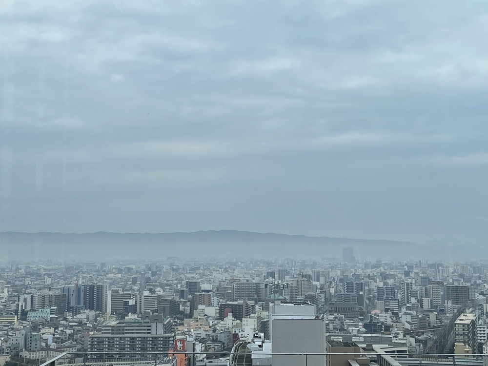 大阪市縦断ランの写真3