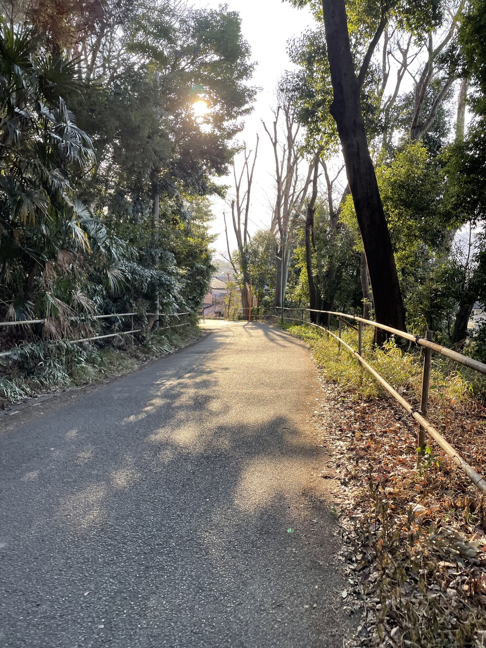座間市(小田急座間駅前)⇄厚木市(あゆみ橋)の写真8