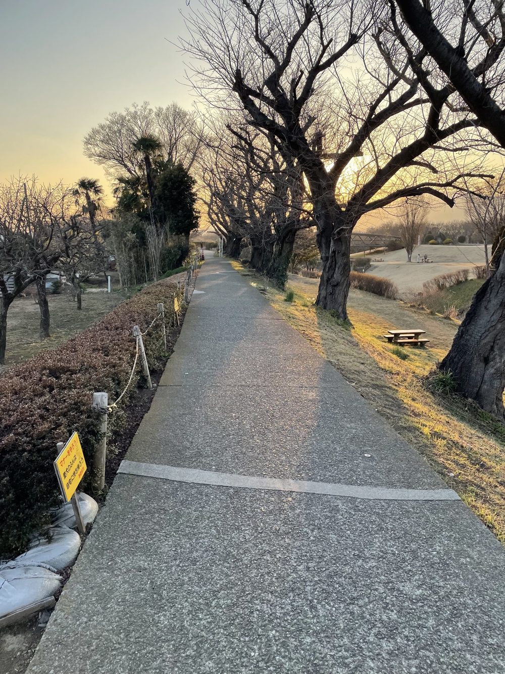 座間市(小田急座間駅前)⇄厚木市(あゆみ橋)の写真16