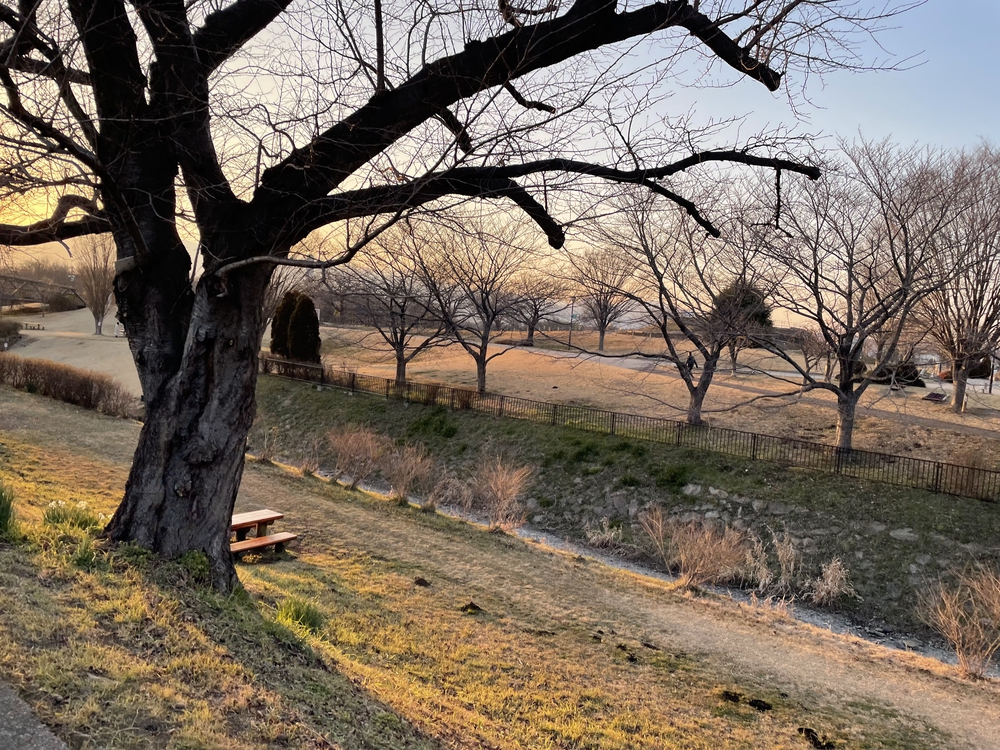 座間市(小田急座間駅前)⇄厚木市(あゆみ橋)の写真17