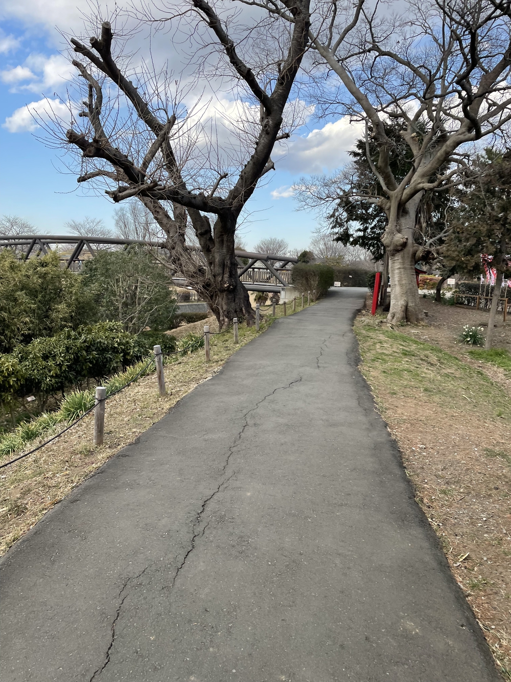 座間市(小田急座間駅前)⇄厚木市(あゆみ橋)の写真18