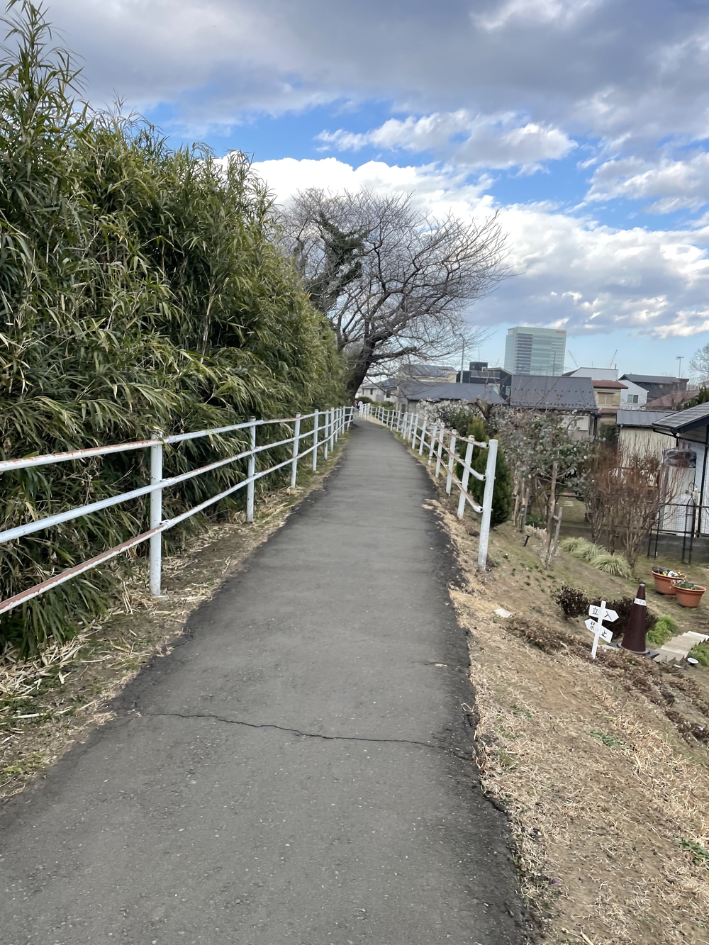 座間市(小田急座間駅前)⇄厚木市(あゆみ橋)の写真19