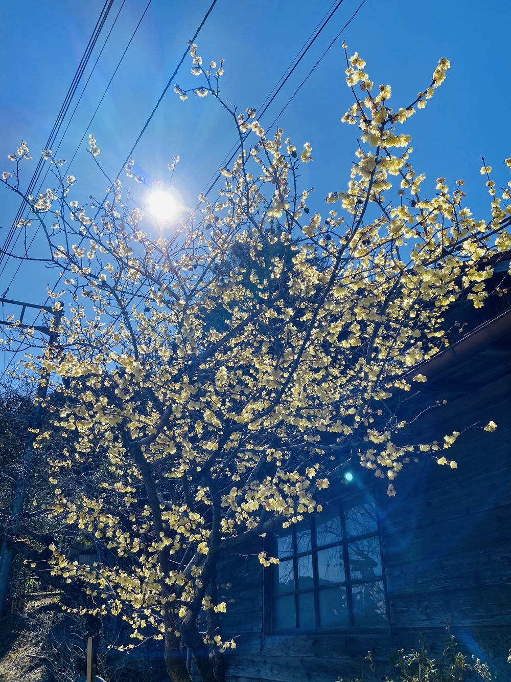 ラン　ハイク　絶景　サウナの写真4