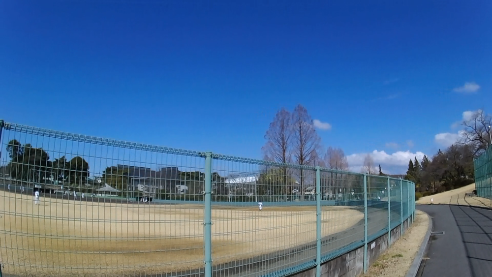 栃木県総合運動公園ジョギングコースを周遊する8キロの写真3