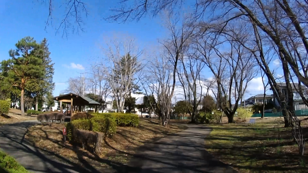 栃木県総合運動公園ジョギングコースを周遊する8キロの写真4