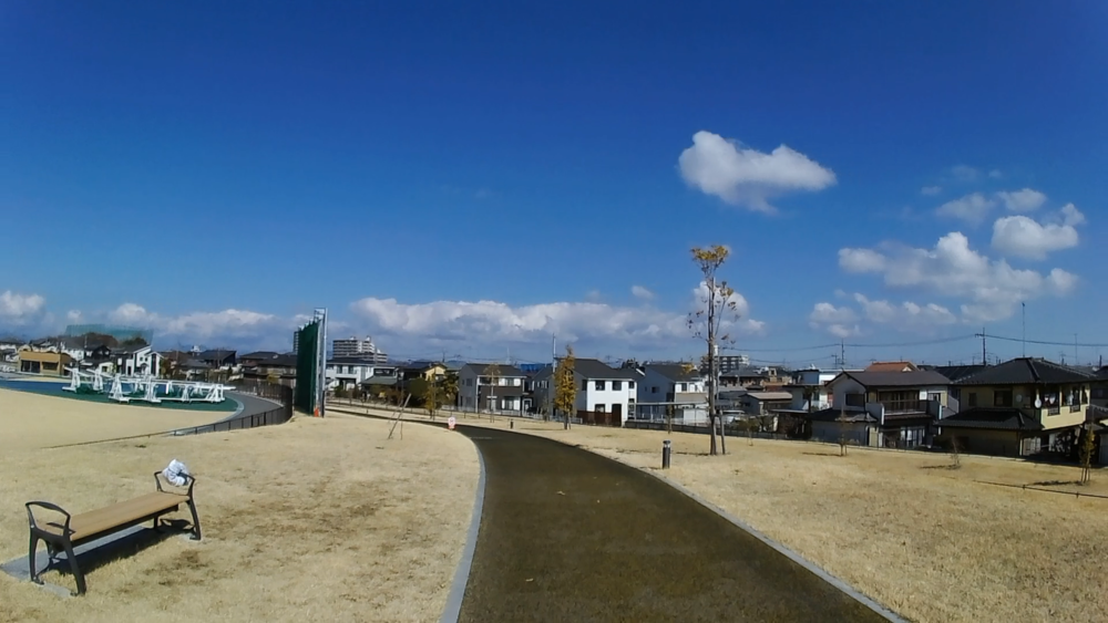 栃木県総合運動公園ジョギングコースを周遊する8キロの写真7