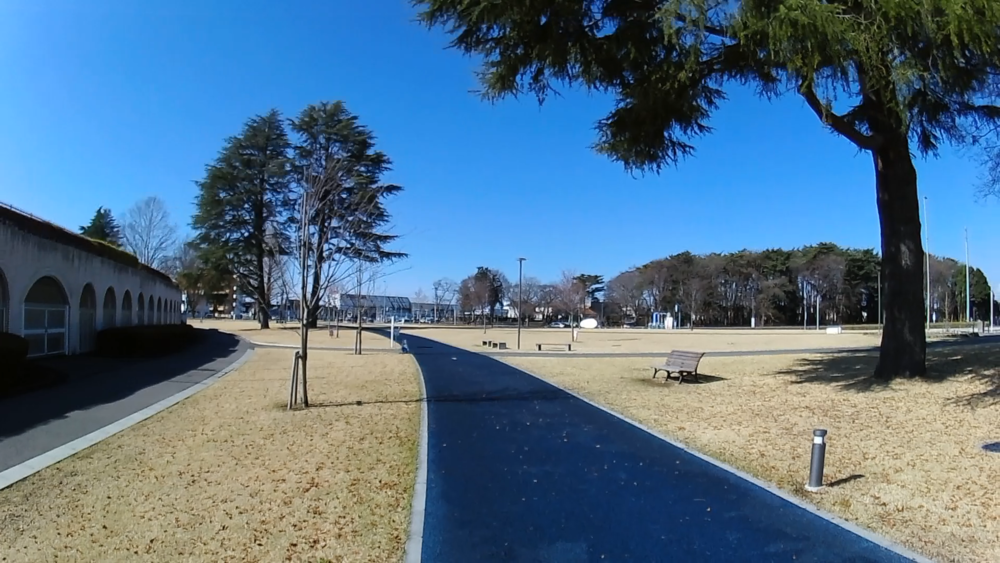 栃木県総合運動公園ジョギングコースを周遊する8キロの写真11