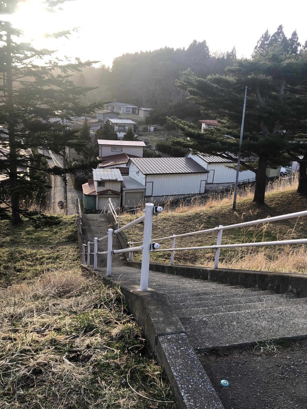 木陰が涼しく迷路の様な飽きないコースの写真4