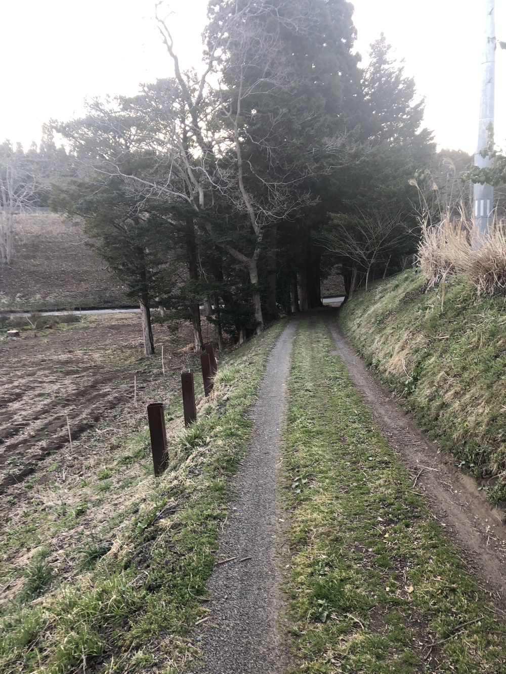 木陰が涼しく迷路の様な飽きないコースの写真6