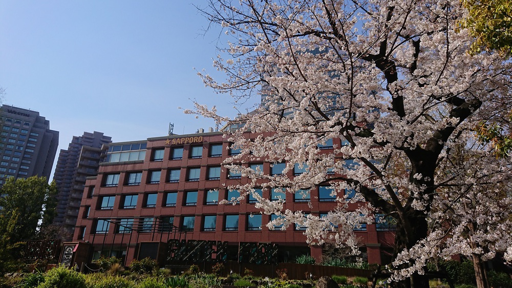 桜の名所「目黒川」の起点からスタートするサクRUNの写真4