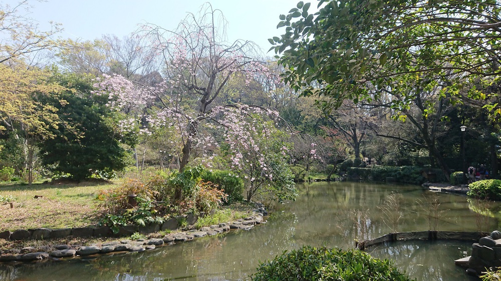 桜の名所「目黒川」の起点からスタートするサクRUNの写真5