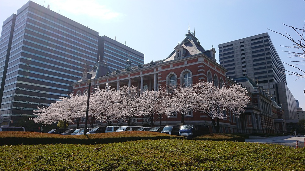 桜の名所「目黒川」の起点からスタートするサクRUNの写真7