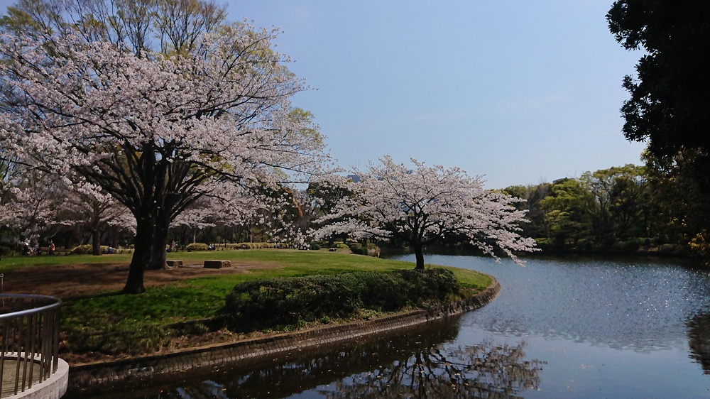 桜の名所「目黒川」の起点からスタートするサクRUNの写真8