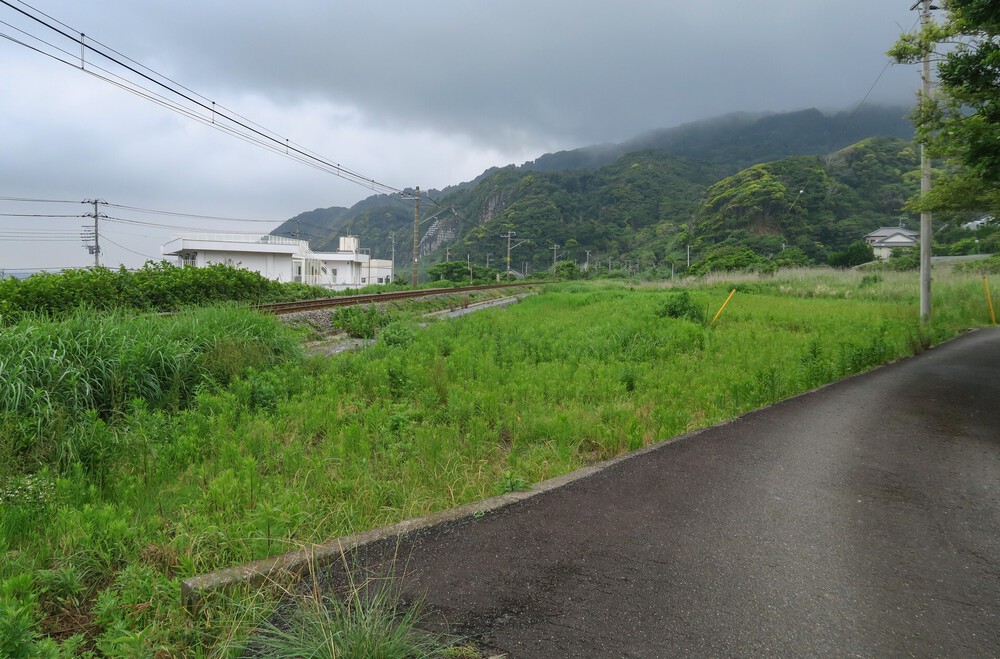 浦賀水道またぎラン（前編：保田駅～鋸山～浜金谷）の写真3
