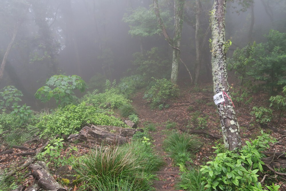 浦賀水道またぎラン（前編：保田駅～鋸山～浜金谷）の写真7