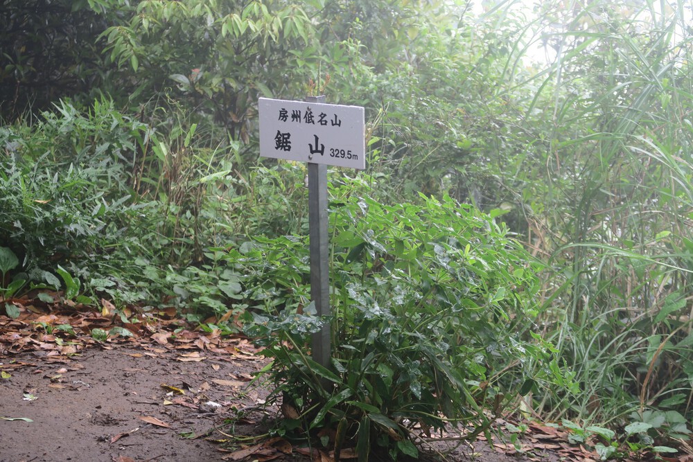 浦賀水道またぎラン（前編：保田駅～鋸山～浜金谷）の写真8