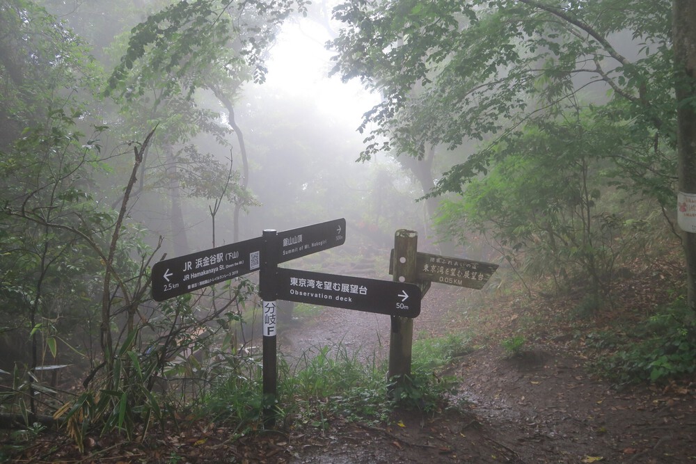 浦賀水道またぎラン（前編：保田駅～鋸山～浜金谷）の写真11