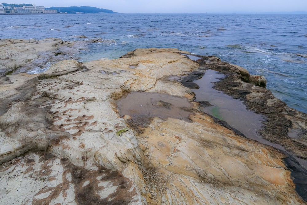 浦賀水道またぎラン（後編：久里浜港～浦賀駅）の写真10