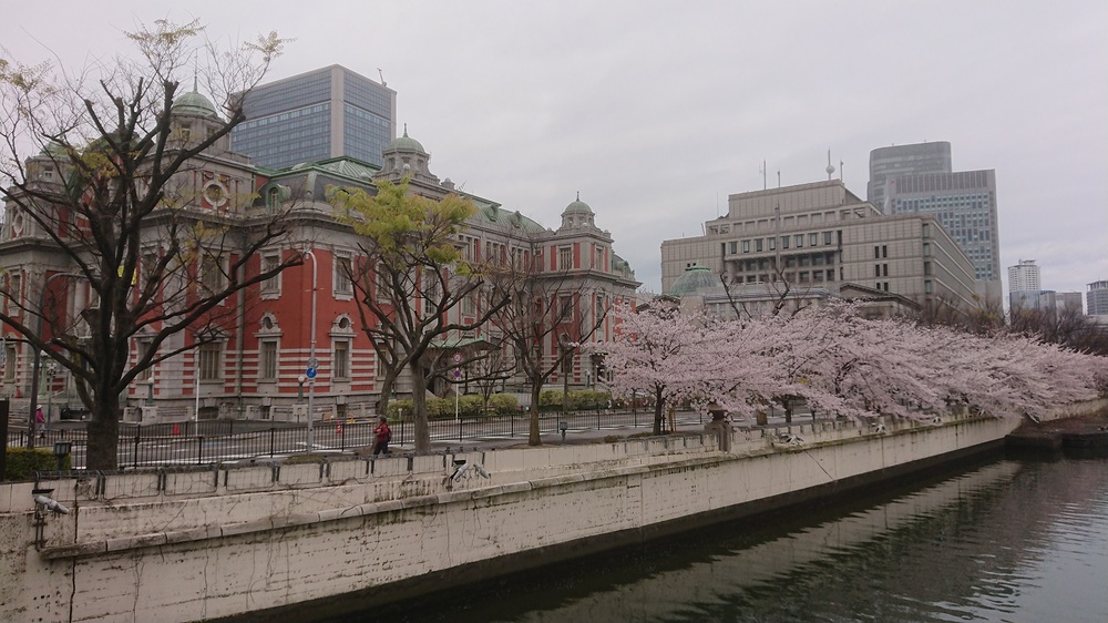 梅田から大阪城の往復で桜を楽しめる大川沿いのコースの写真3