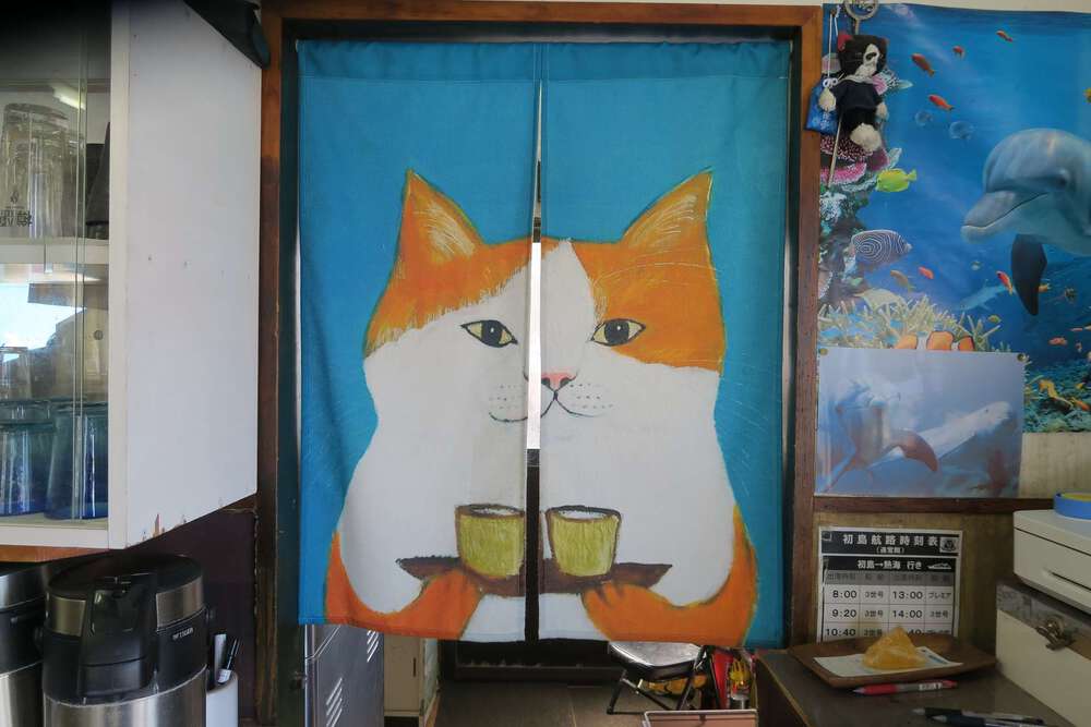 初島ランの写真3