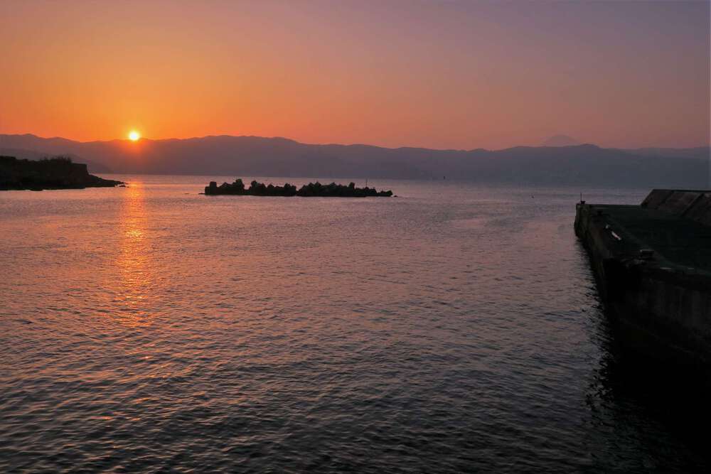 初島ランの写真4