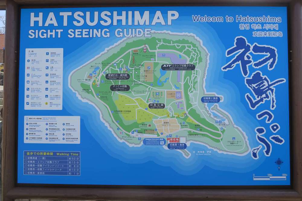 初島ランの写真7