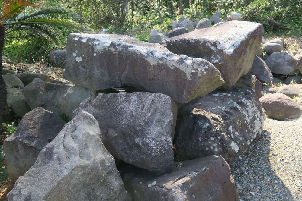 初島ランの写真9