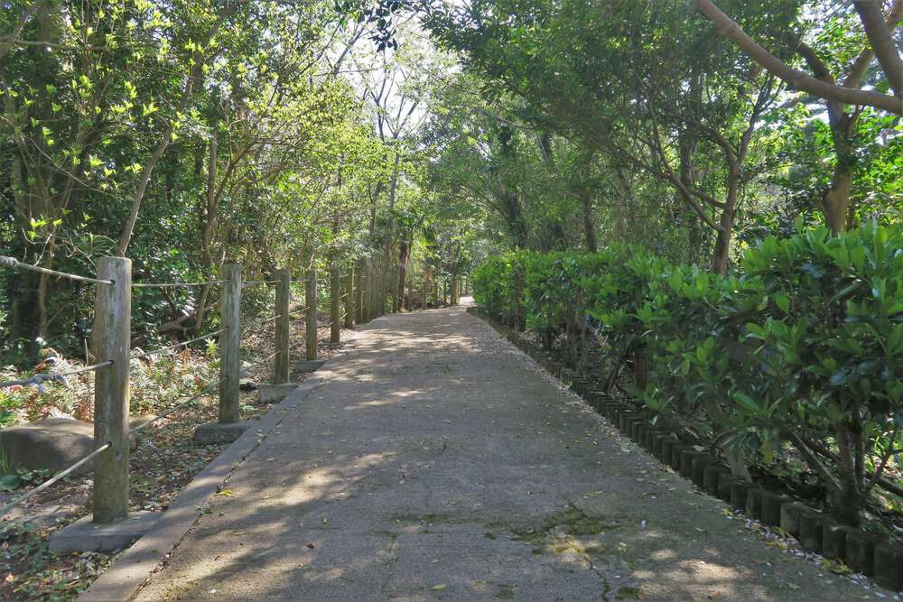 初島ランの写真10