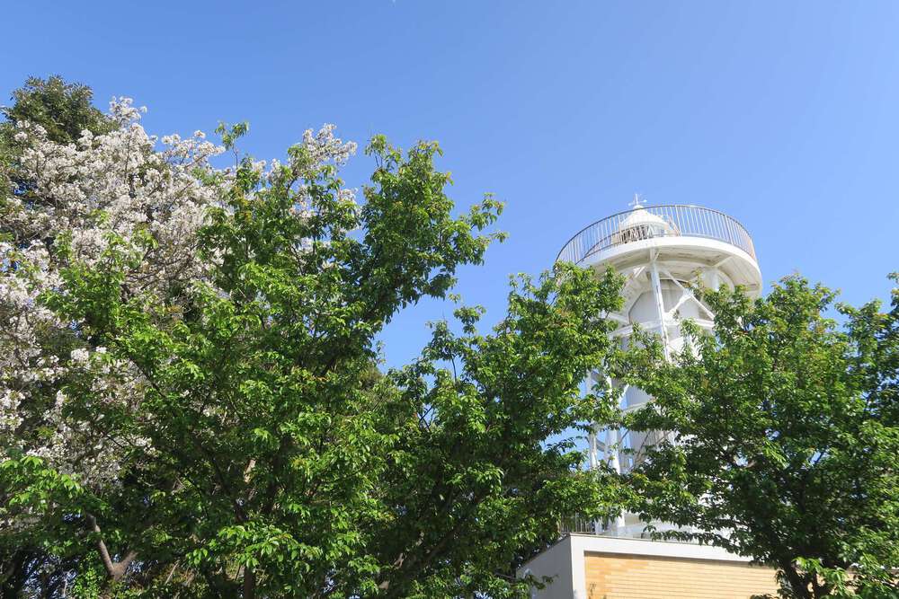 初島ランの写真11