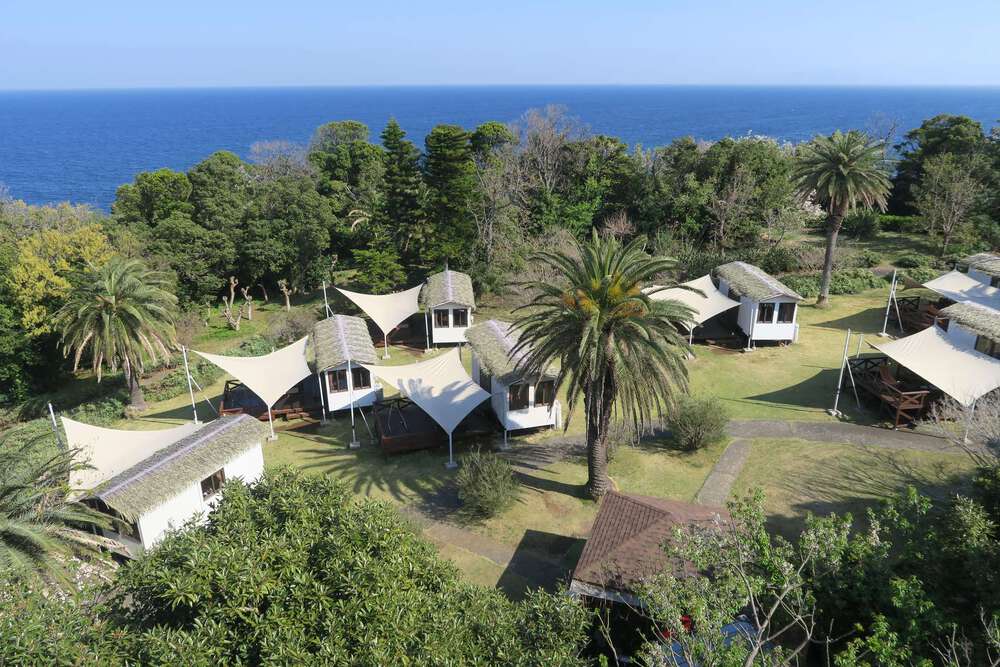 初島ランの写真13