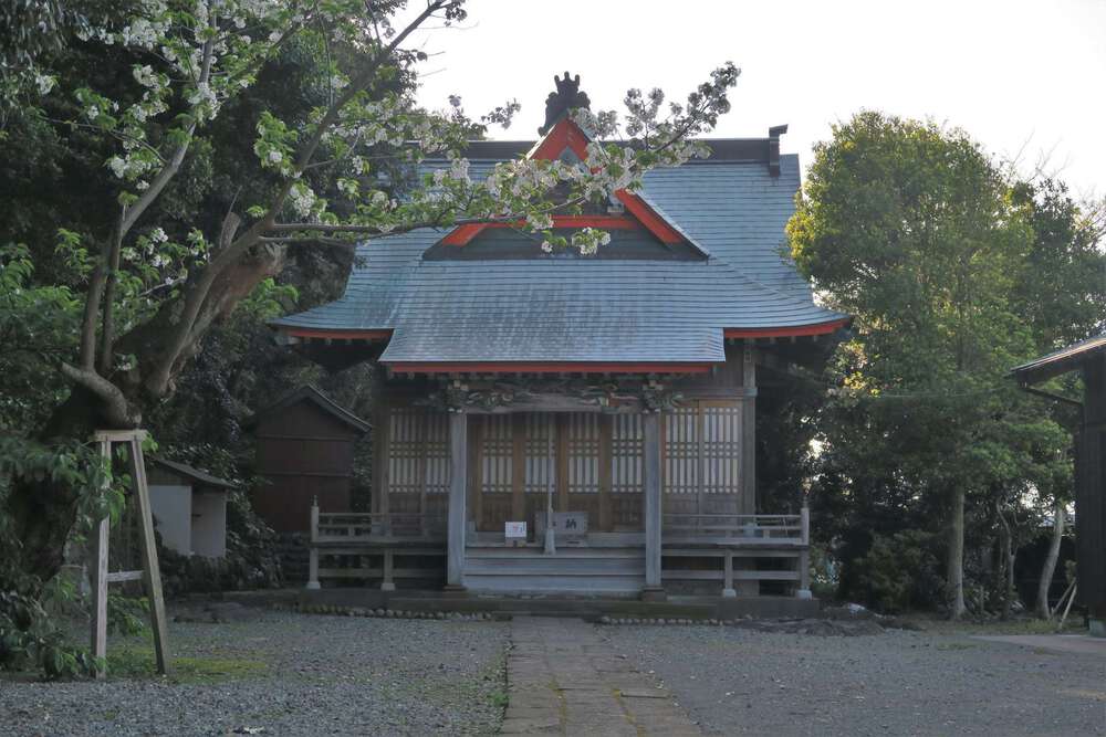 初島ランの写真18