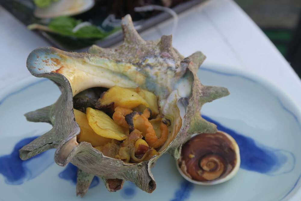 初島ランの写真20