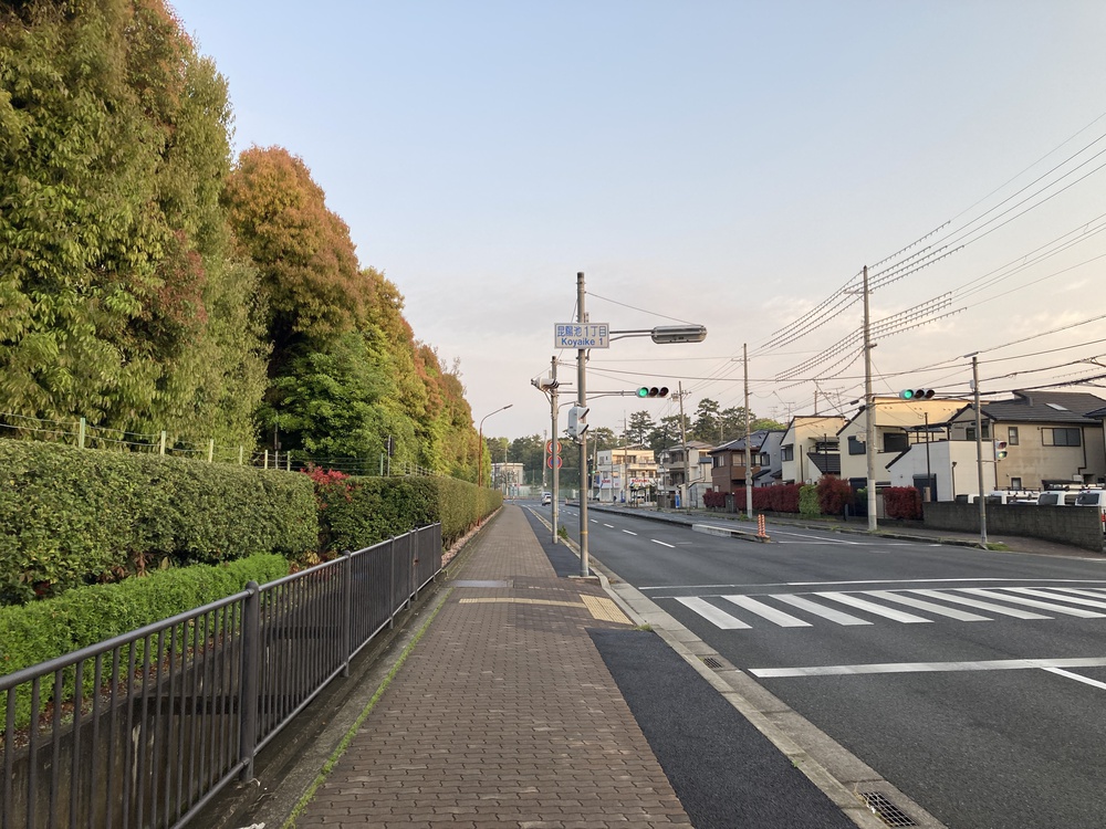 瞑想♪宝塚中山観音周遊～武庫川コース【21㎞】ヌートリアに会えるかも？！の写真3
