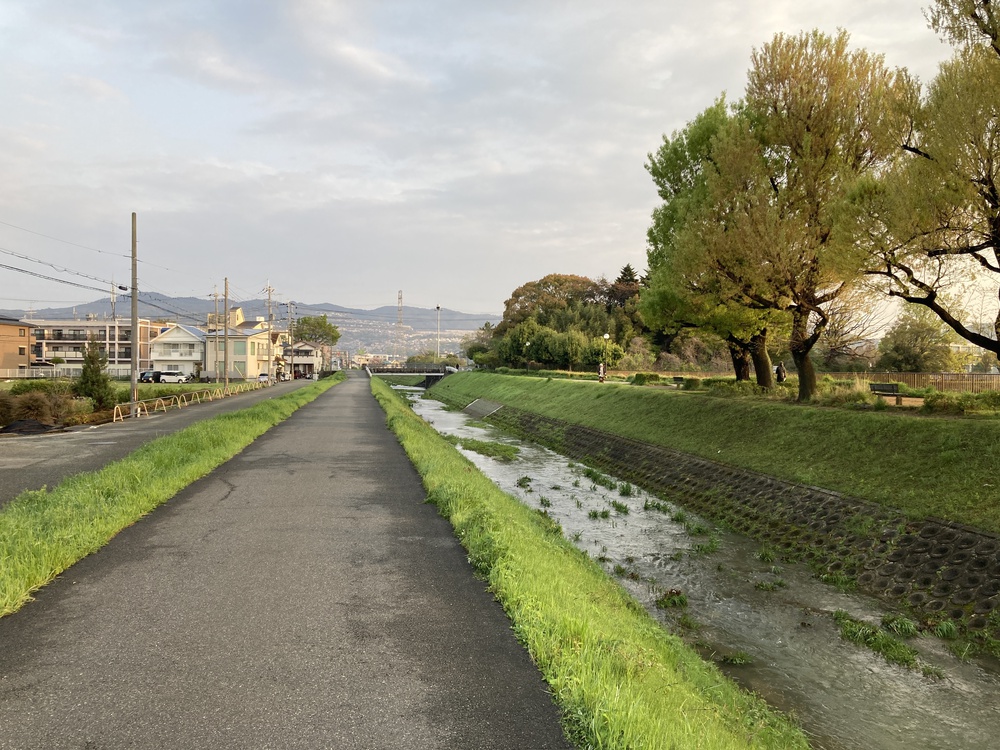 瞑想♪宝塚中山観音周遊～武庫川コース【21㎞】ヌートリアに会えるかも？！の写真5