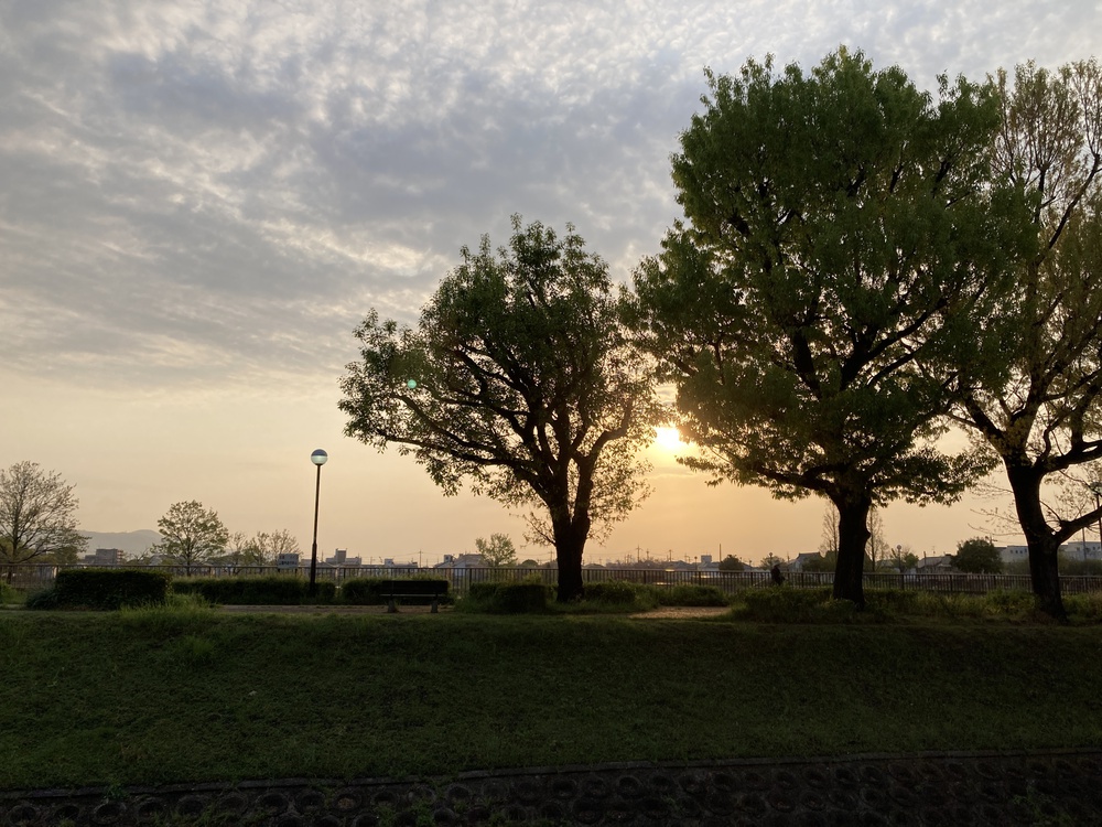 瞑想♪宝塚中山観音周遊～武庫川コース【21㎞】ヌートリアに会えるかも？！の写真7