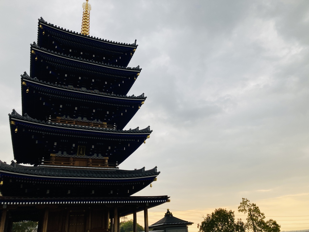 瞑想♪宝塚中山観音周遊～武庫川コース【21㎞】ヌートリアに会えるかも？！の写真9