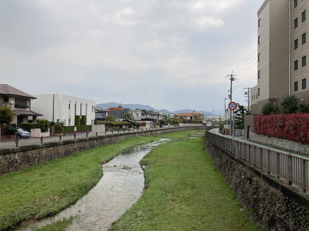 瞑想♪宝塚中山観音周遊～武庫川コース【21㎞】ヌートリアに会えるかも？！の写真14