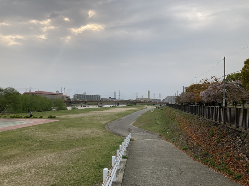 瞑想♪宝塚中山観音周遊～武庫川コース【21㎞】ヌートリアに会えるかも？！の写真17