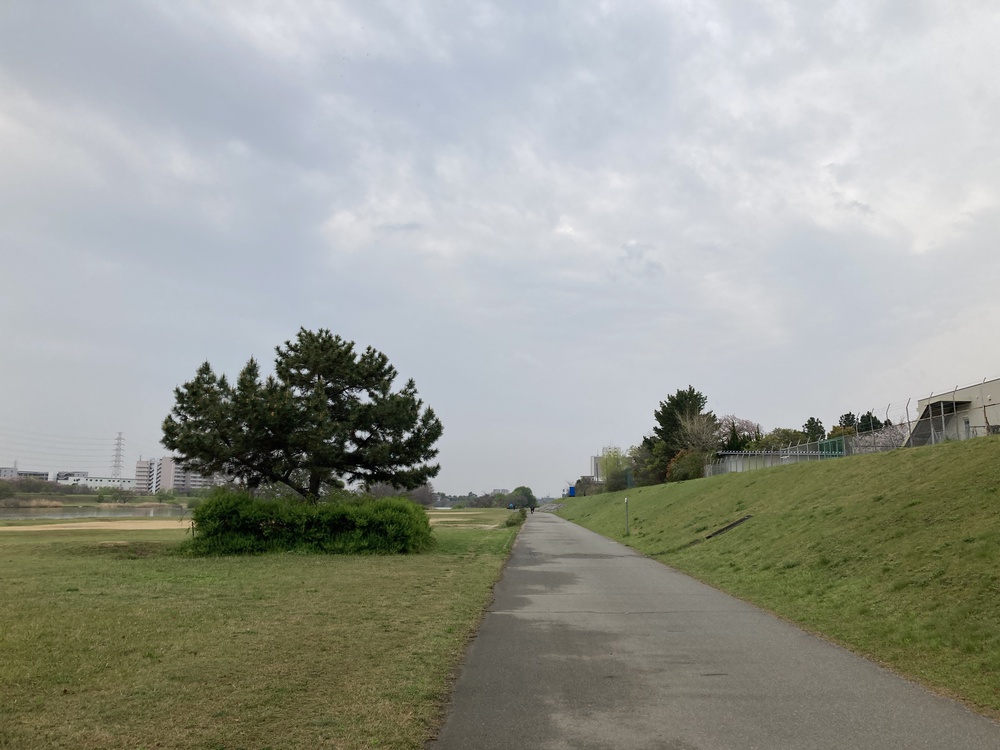 瞑想♪宝塚中山観音周遊～武庫川コース【21㎞】ヌートリアに会えるかも？！の写真18