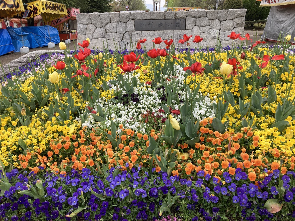 瞑想♪宝塚中山観音周遊～武庫川コース【21㎞】ヌートリアに会えるかも？！の写真20